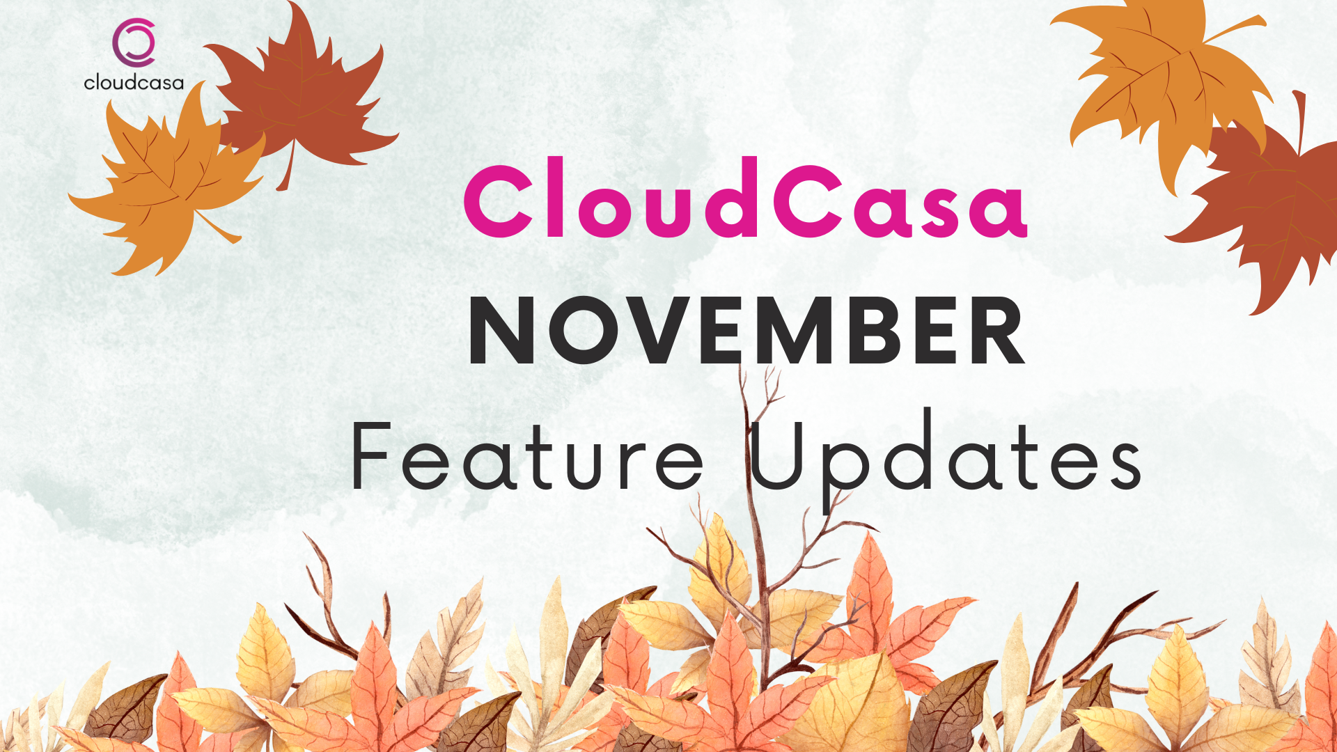 CloudCasa November Feature Updates – Support KubeVirt!