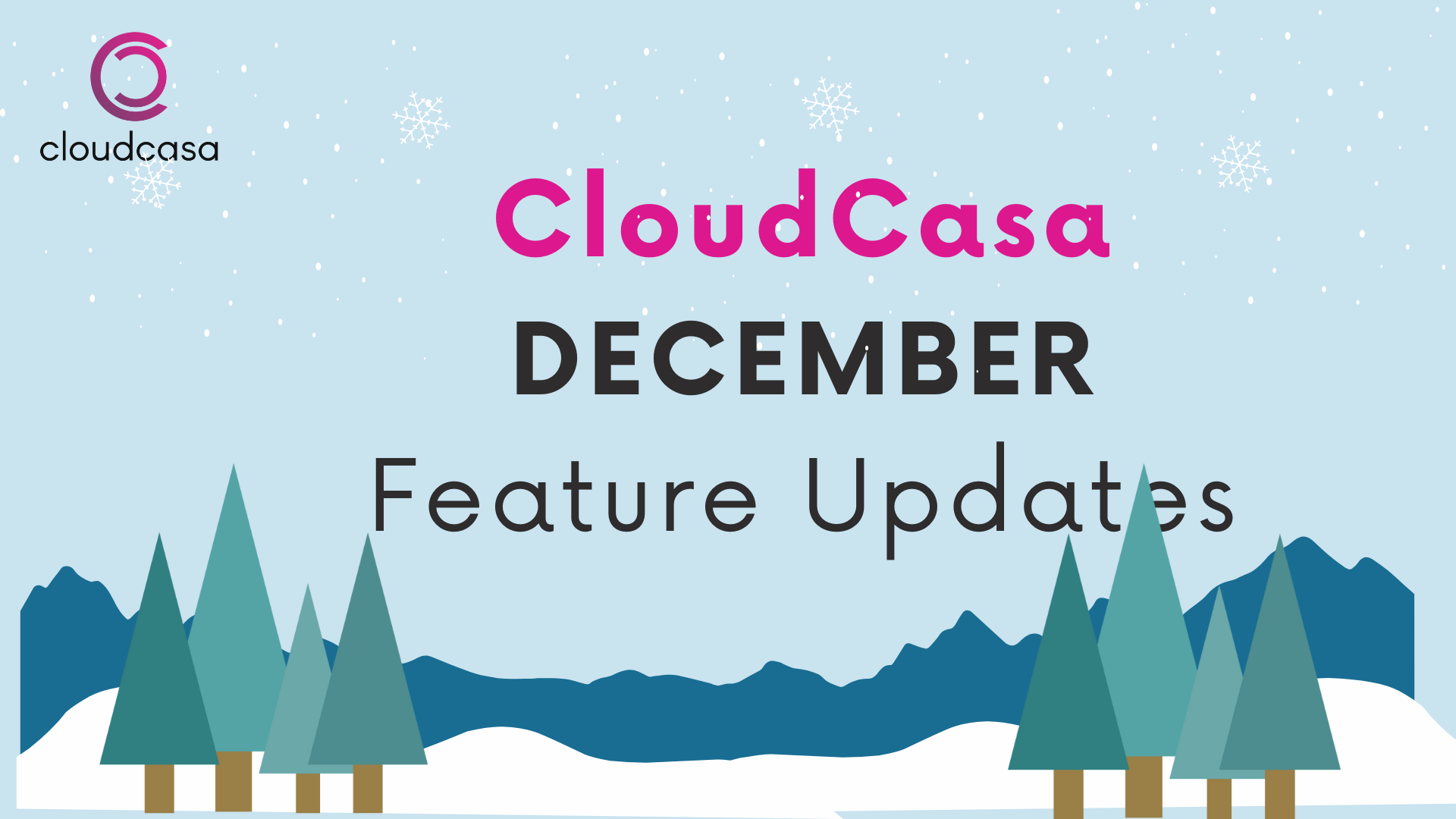 CloudCasa Feature Update December 2024