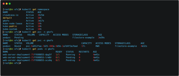 Fig 15 Deleted namespace gkefs restored with all its components