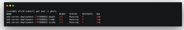 Fig 5 Description of the web server deployment