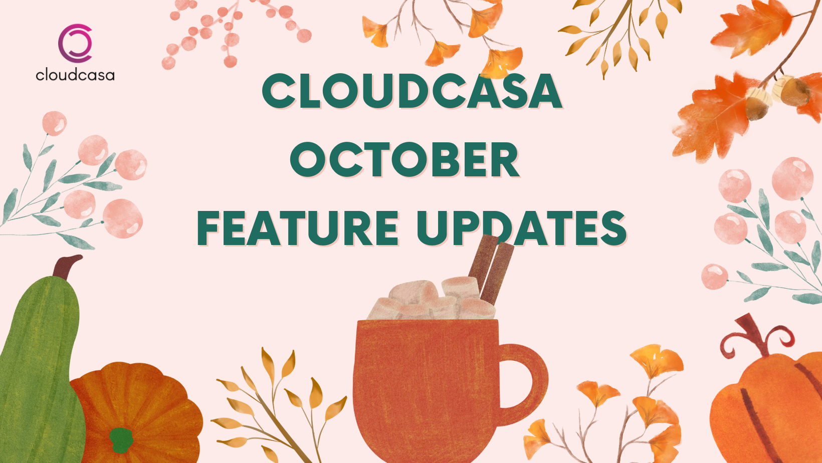 CloudCasa October Feature Updates