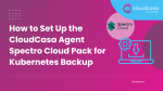 How to Set Up the CloudCasa Agent Spectro Cloud Pack for Kubernetes Backup
