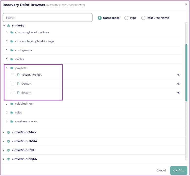 How to Restore Rancher Projects with CloudCasa