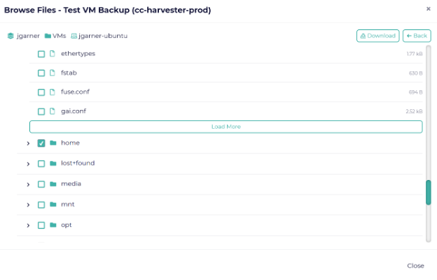 Simplifies File Recovery VM