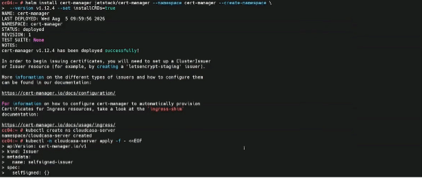 cluster3