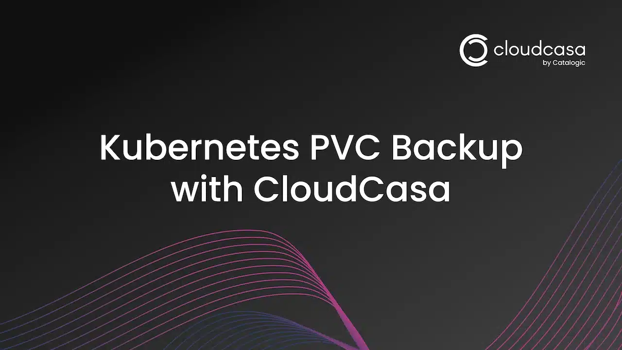 kubernetes pvc backup with cloudcasa