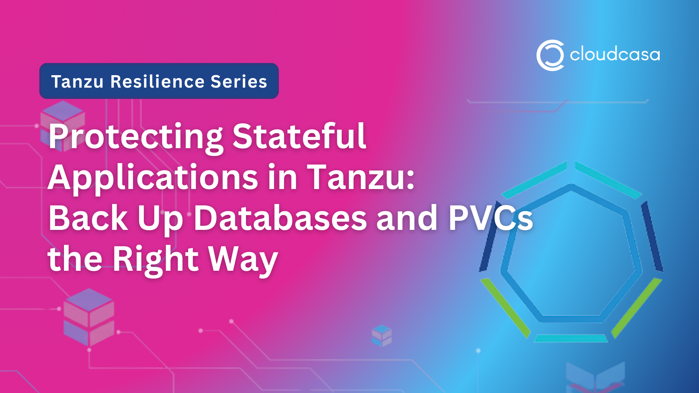 tanzu database backup